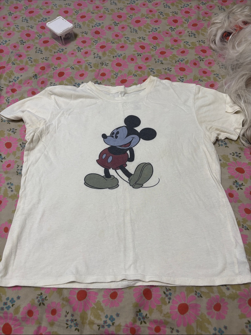 Free People Cream Short Sleeve Mickey Graphic Tee
